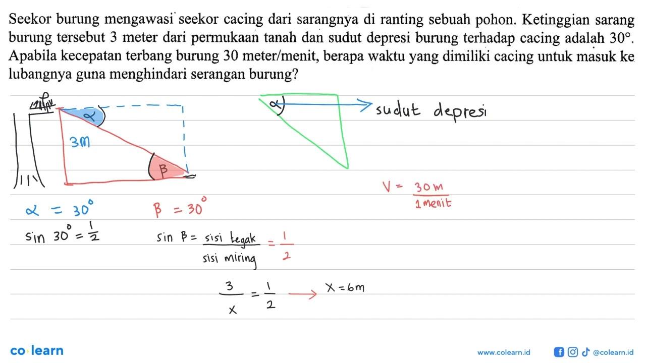 Seekor burung mengawasi seekor cacing dari sarangnya di