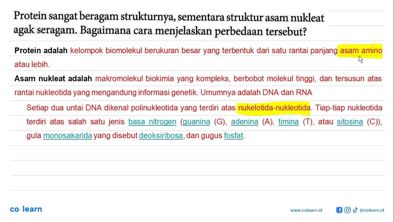 Protein sangat beragam strukturnya, sementara struktur asam