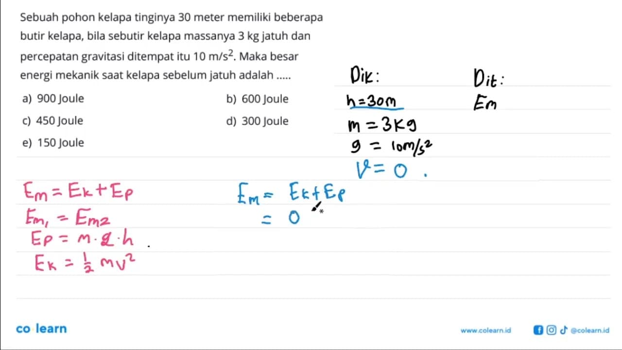 Sebuah pohon kelapa tinginya 30 meter memiliki beberapa