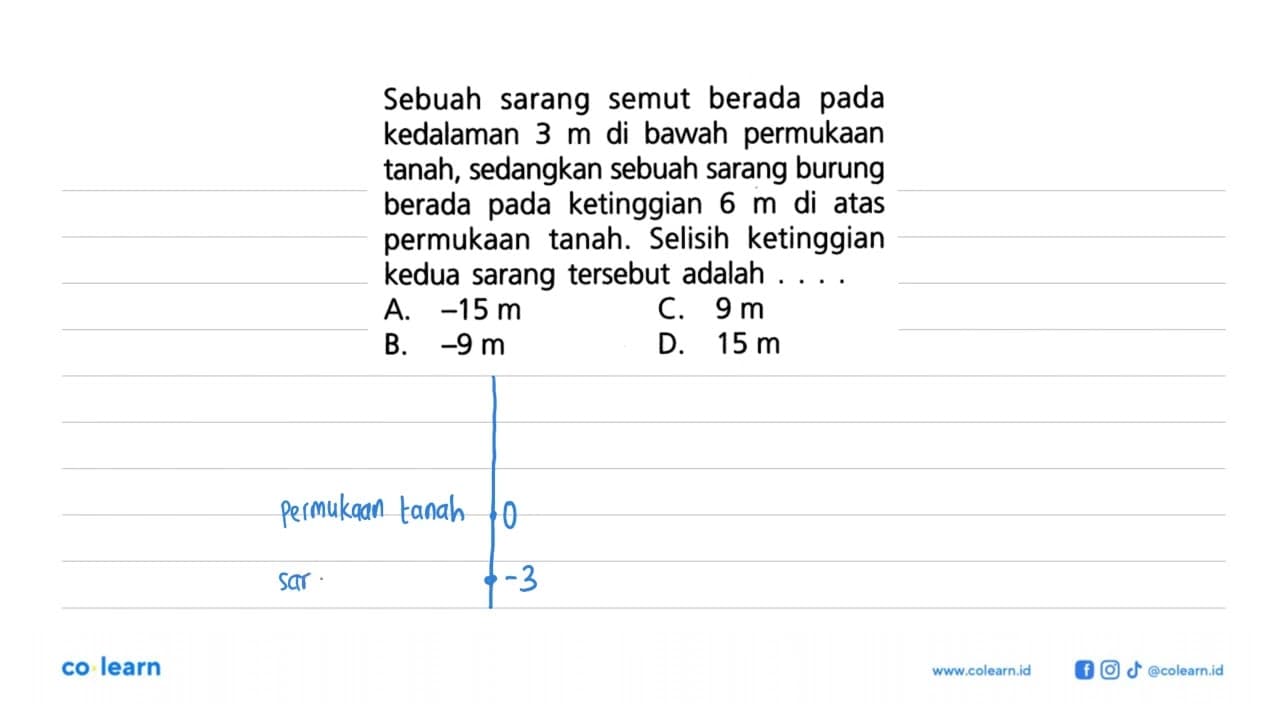 Sebuah sarang semut berada pada kedalaman 3 m di bawah