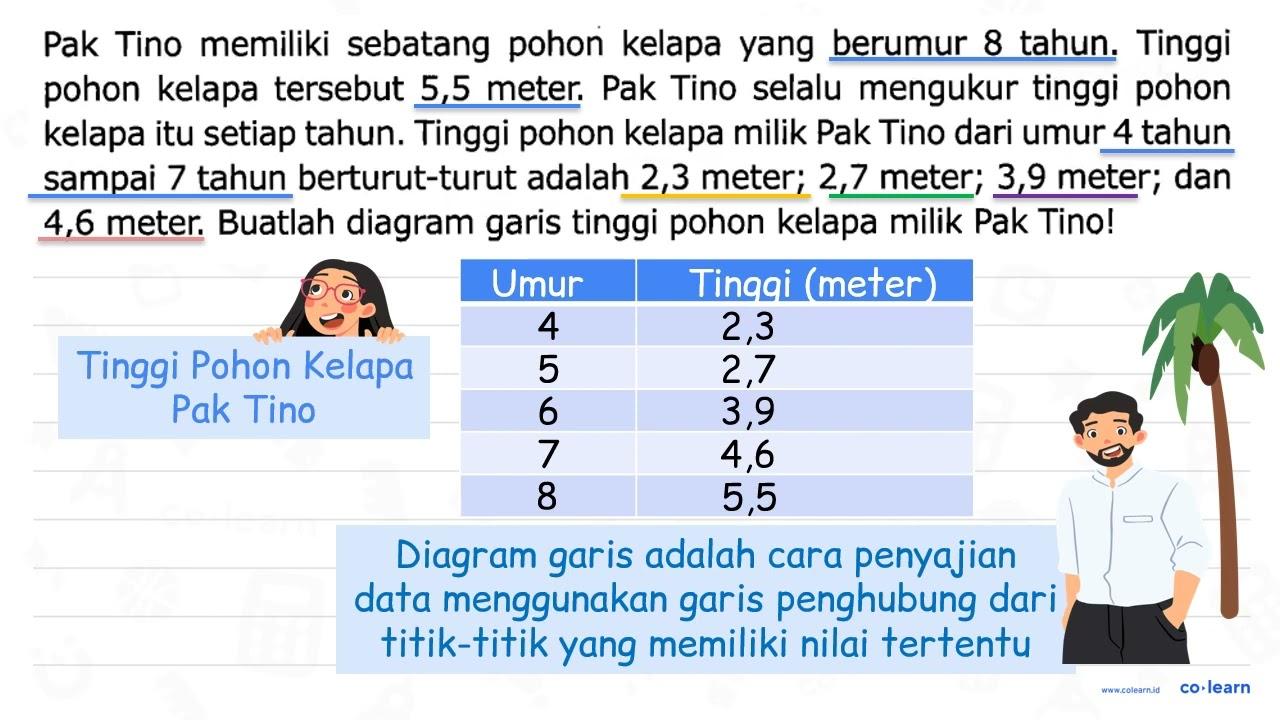 Pak Tino memiliki sebatang pohon kelapa yang berumur 8