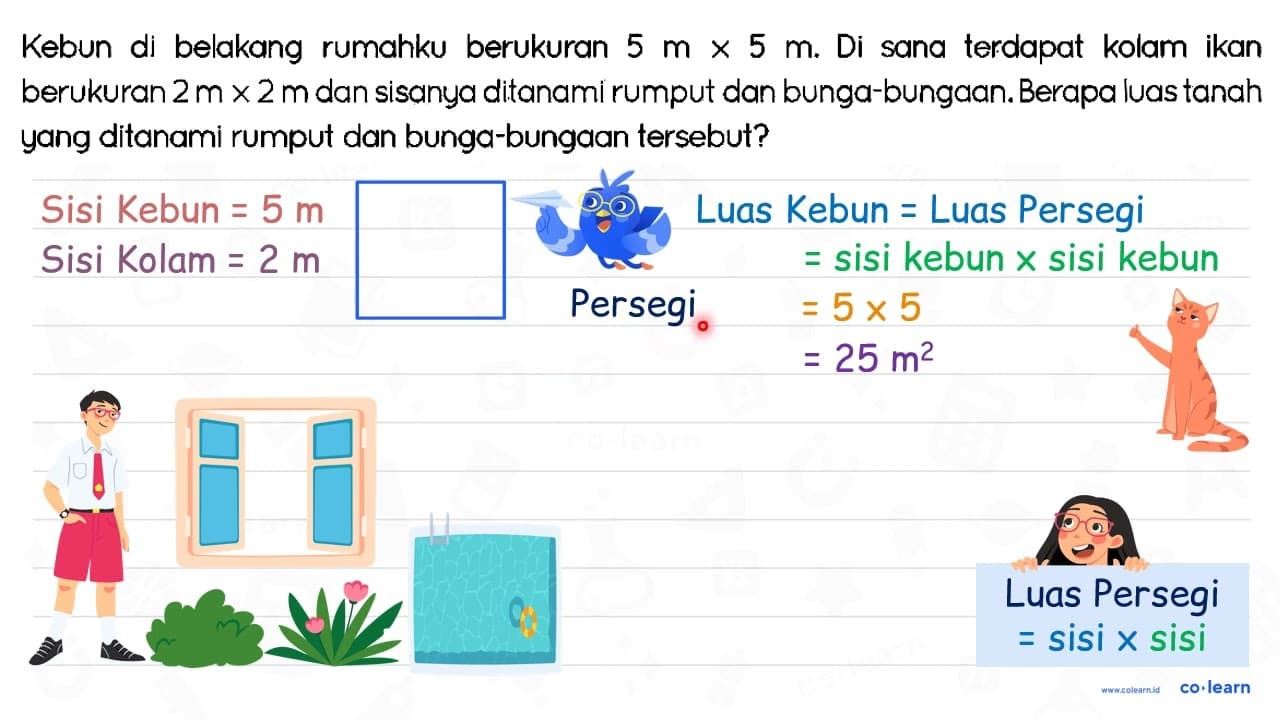 Kebun di belakang rumahku berukuran 5 m x 5 m . Di sana