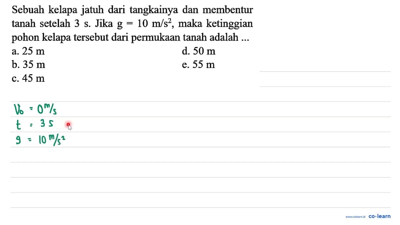 Sebuah kelapa jatuh dari tangkainya dan membentur tanah