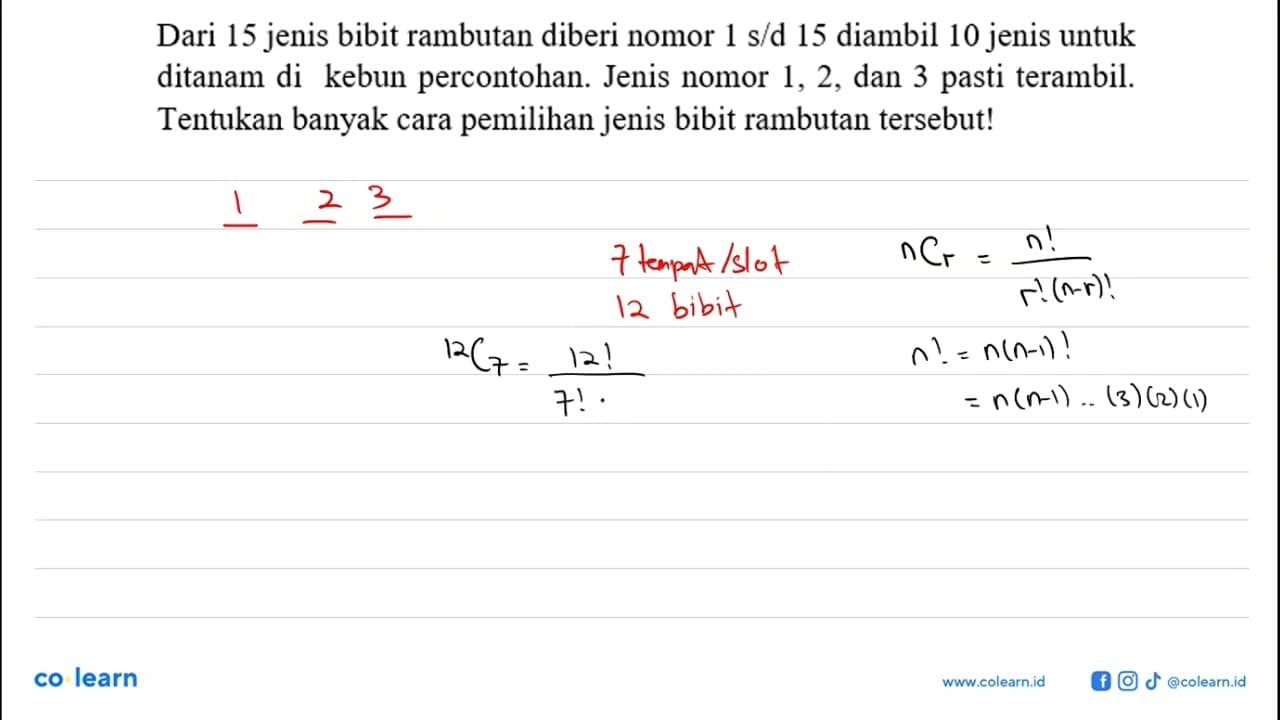 Dari 15 jenis bibit rambutan diberi nomor 1 s/d 15 diambil