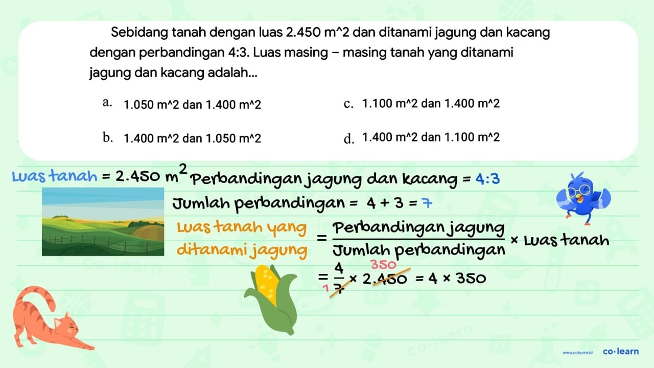 Sebidang tanah dengan luas 2.450 m^2 dan ditanami jagung