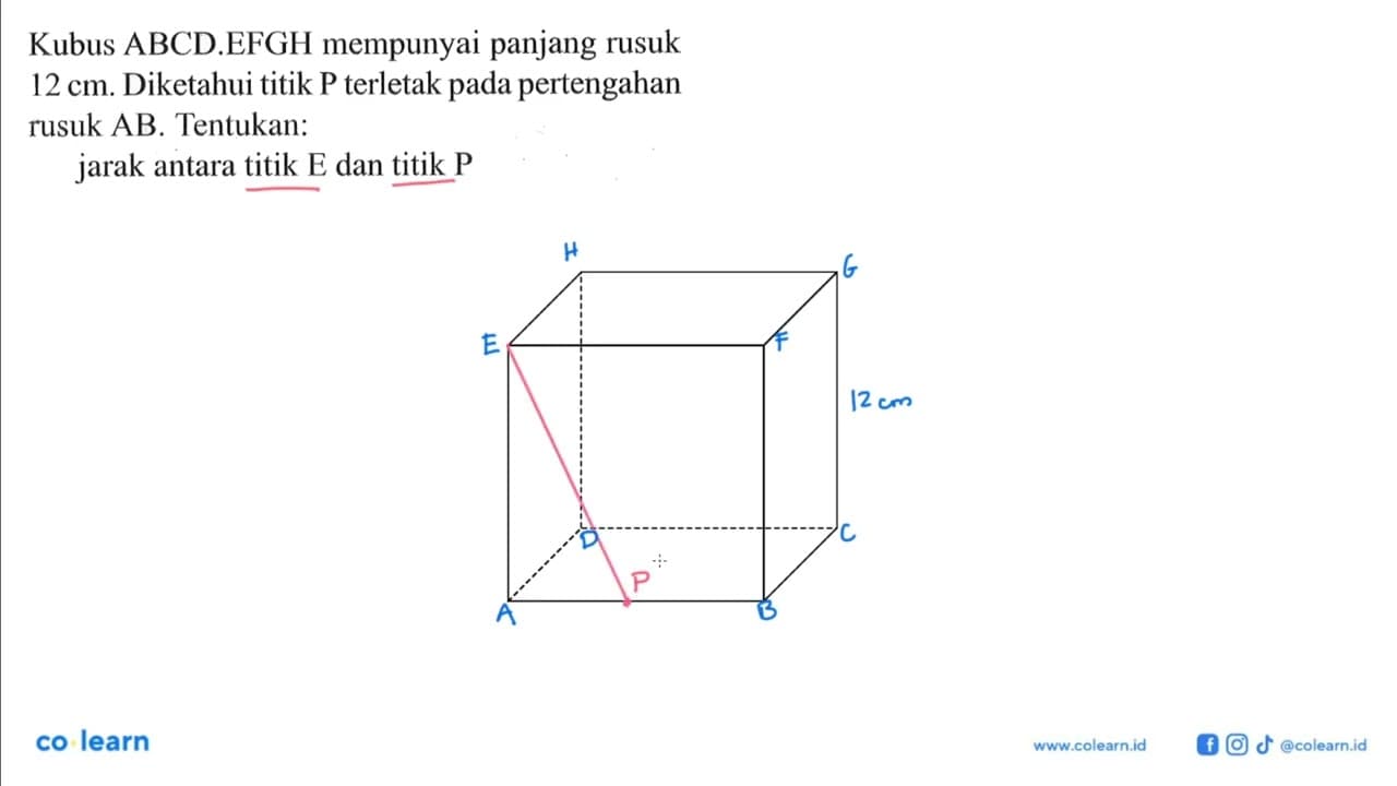 Kubus ABCD.EFGH mempunyai panjang rusuk 12 cm. Diketahui