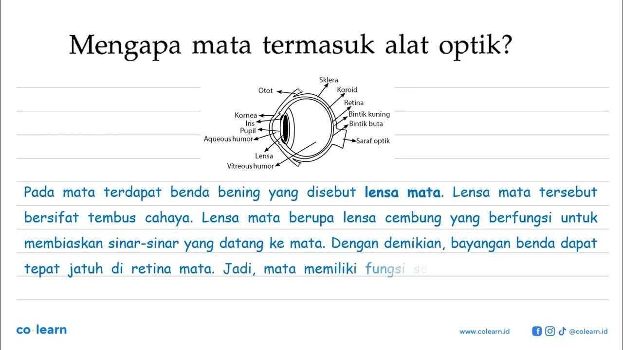 Mengapa mata termasuk alat optik?