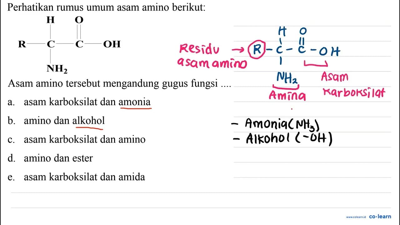 Perhatikan rumus umum asam amino berikut: [R]C(N)C(=O)O