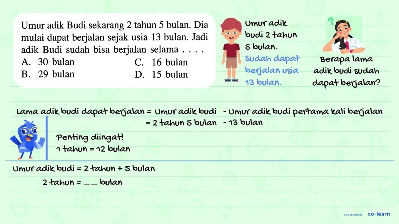 Umur adik Budi sekarang 2 tahun 5 bulan. Dia mulai dapat