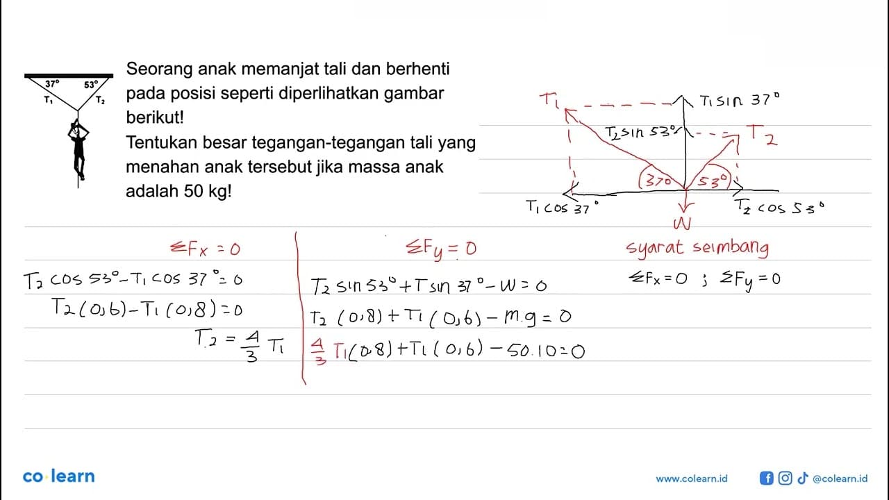 37 53 T1 T2 Seorang anak memanjat tali dan berhenti pada