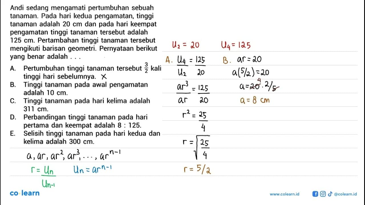 Andi sedang mengamati pertumbuhan sebuah tanaman. Pada hari