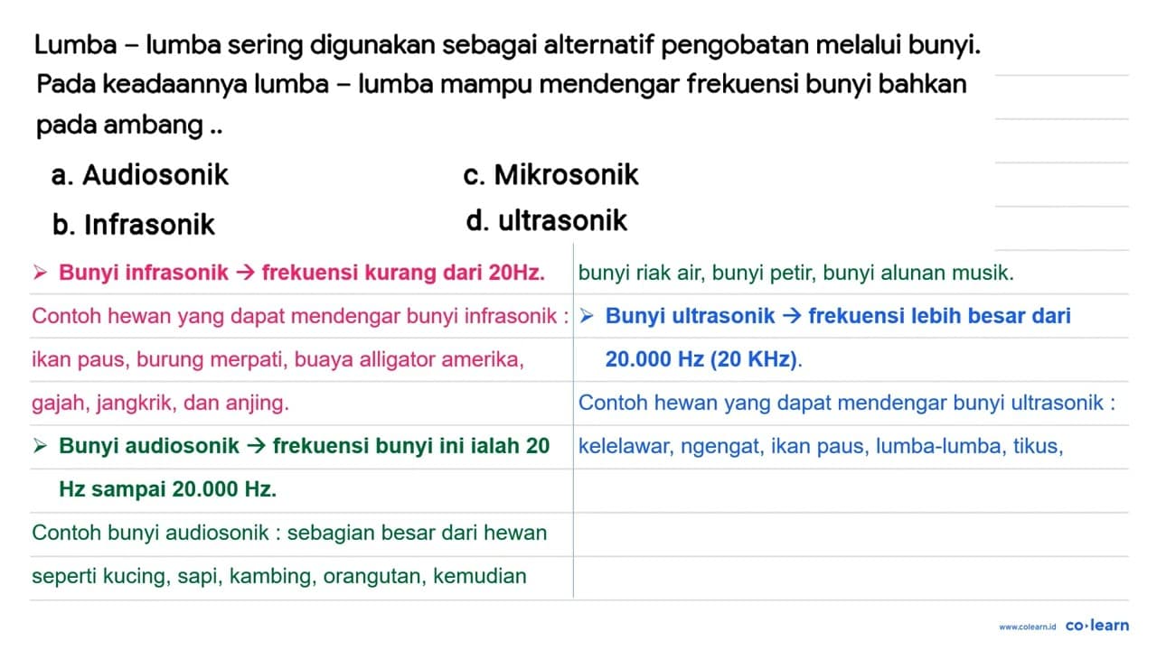 Lumba - lumba sering digunakan sebagai alternatif