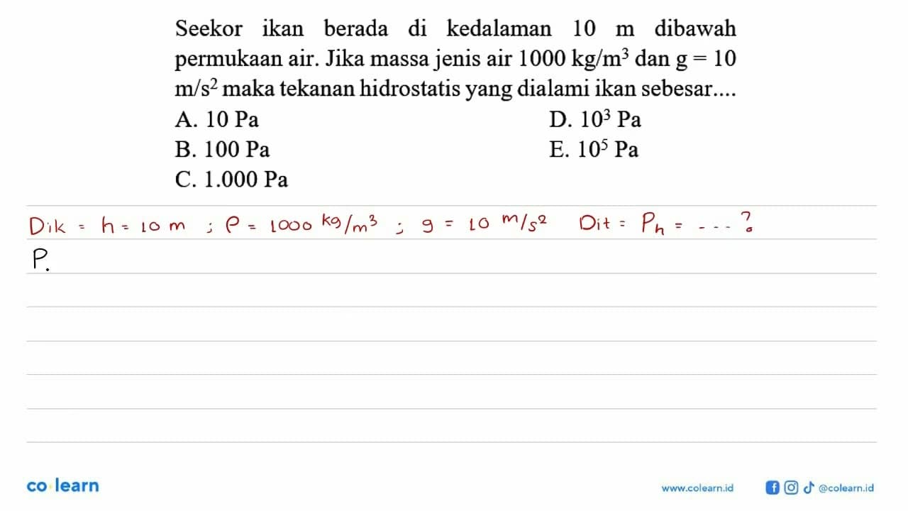 Seekor ikan berada di kedalaman 10 m dibawah permukaan air.