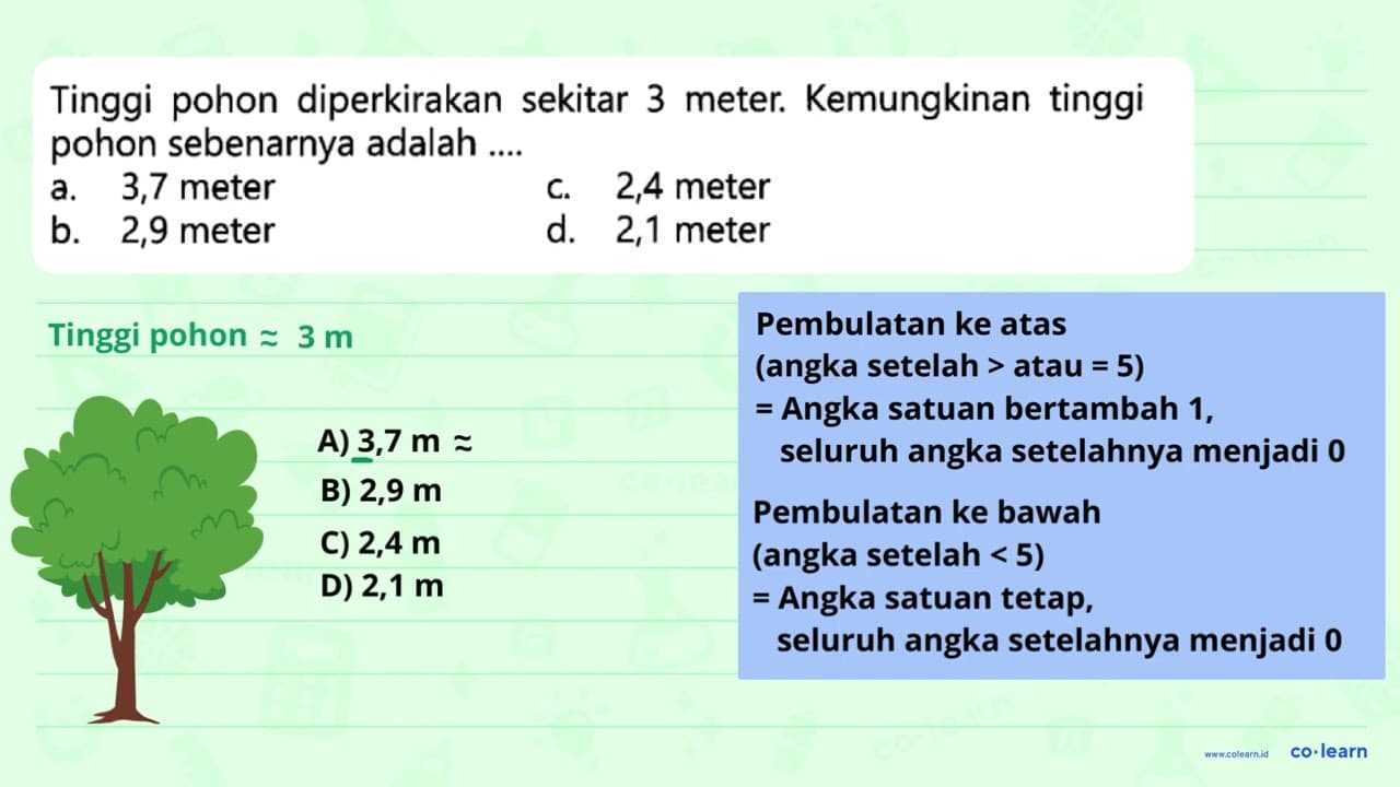 Tinggi pohon diperkirakan sekitar 3 meter. Kemungkinan