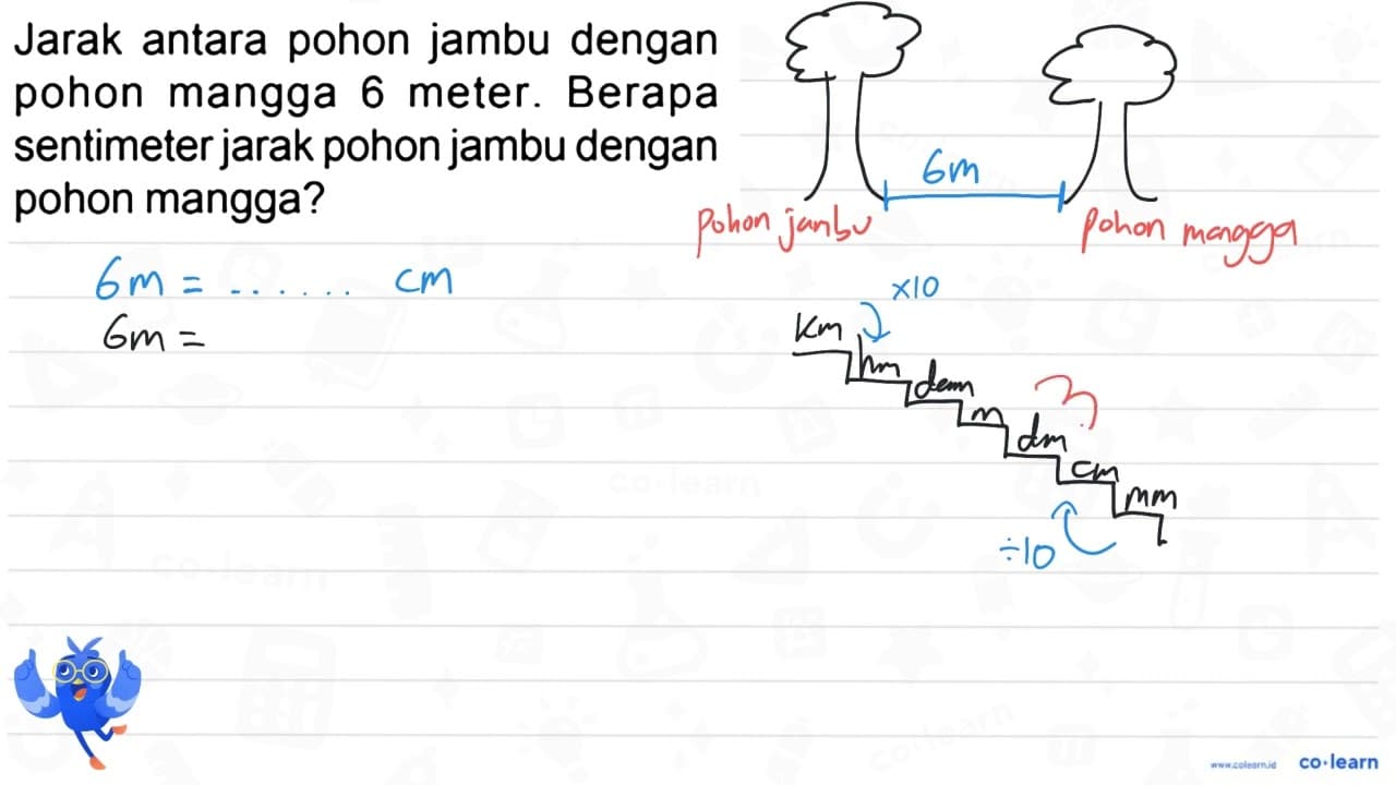 Jarak antara pohon jambu dengan pohon mangga 6 meter.