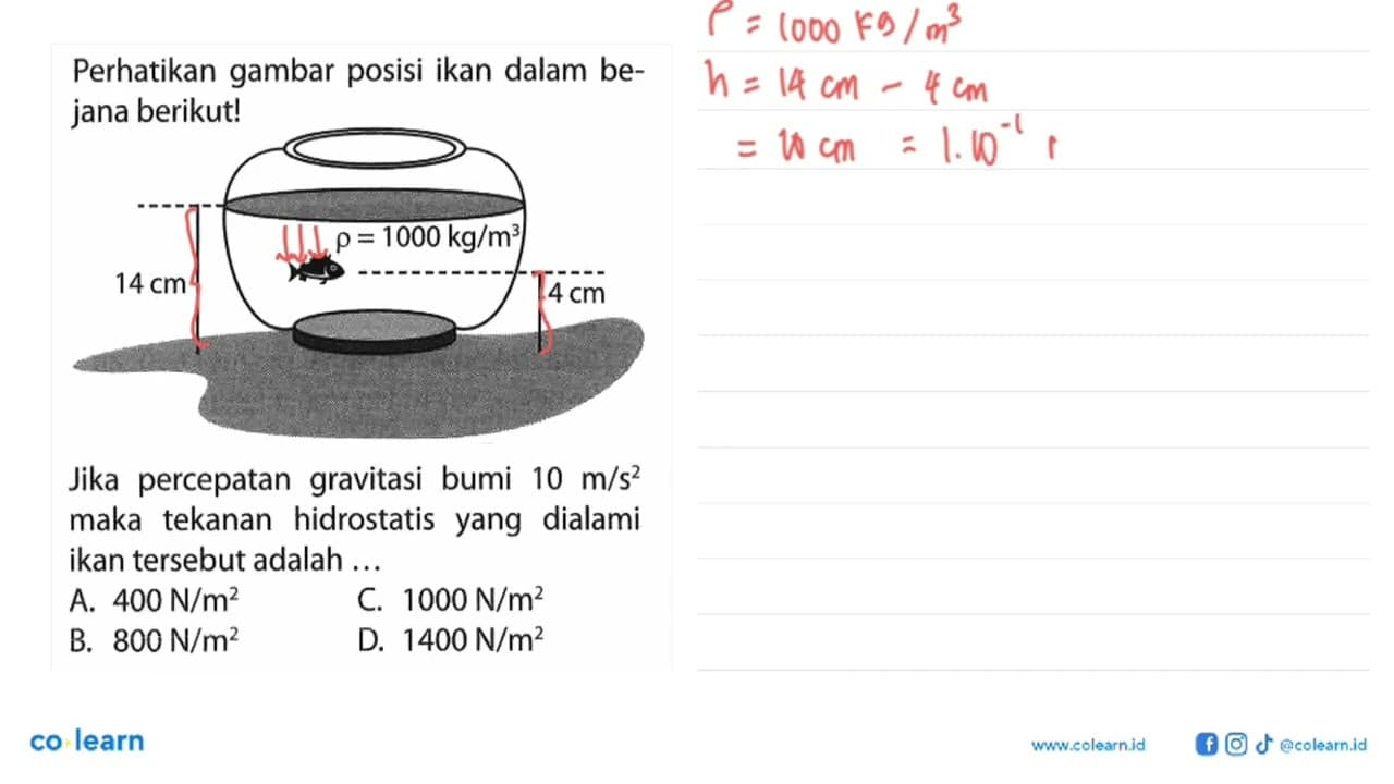 Perhatikan gambar posisi ikan dalam bejana berikut! Jika