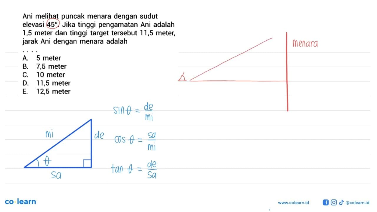 Ani melihat puncak menara dengan sudut elevasi 45. Jika