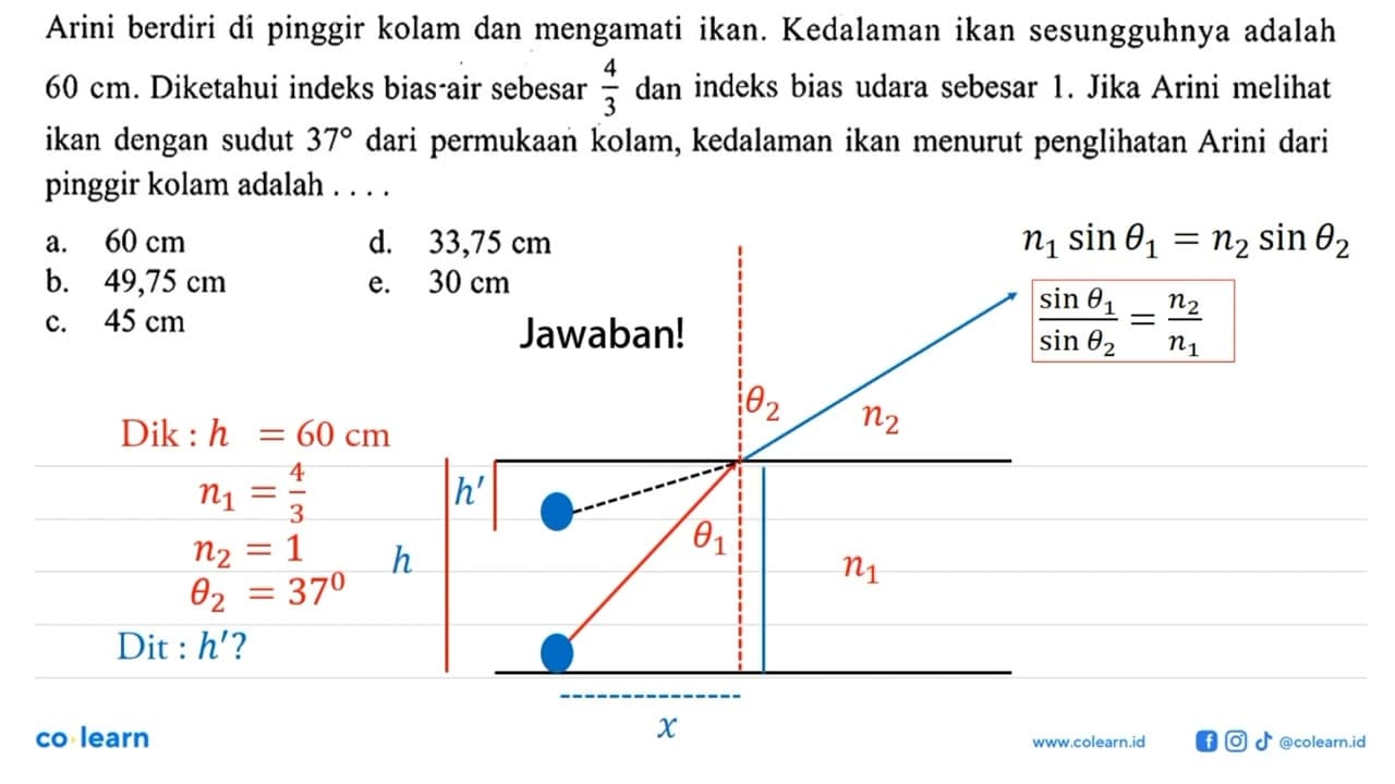 Arini berdiri di pinggir kolam dan mengamati ikan.