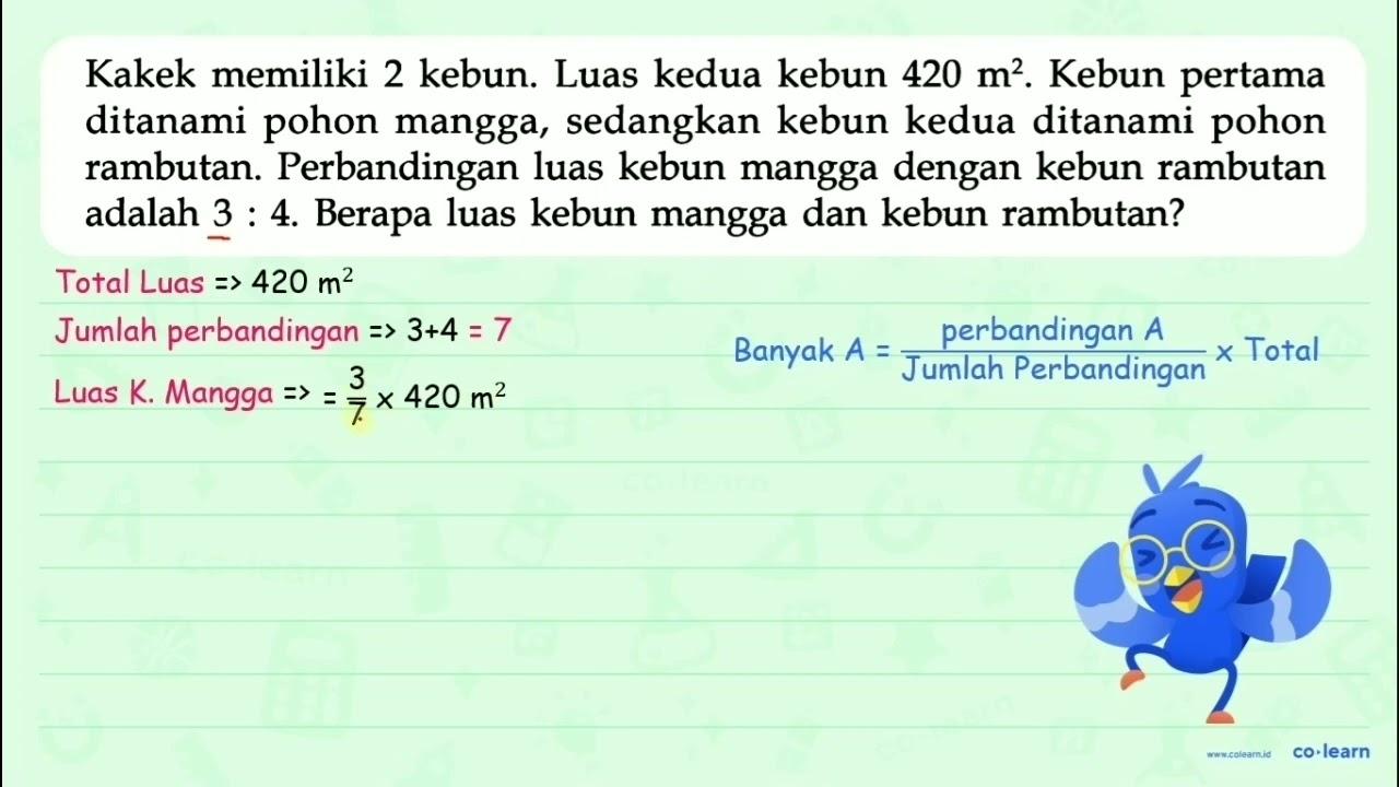 Kakek memiliki 2 kebun. Luas kedua kebun 420 m^2. Kebun