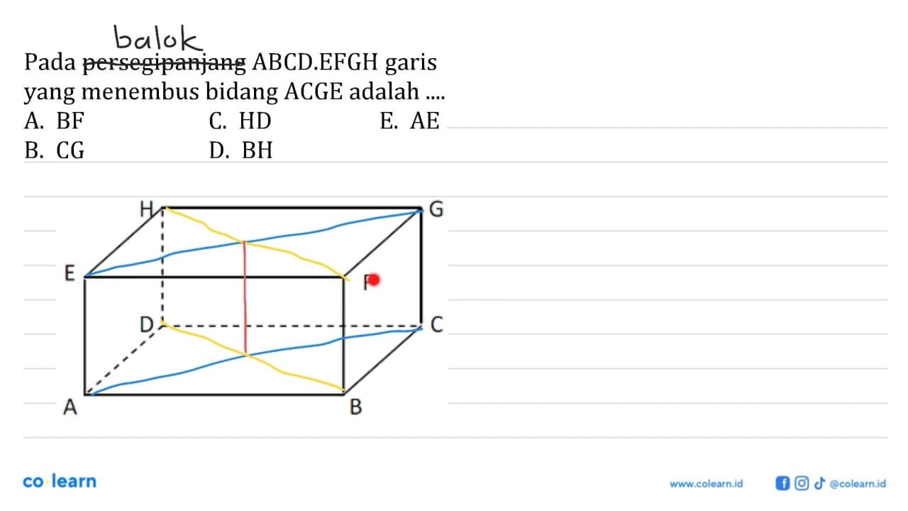 Pada persegipanjang ABCD.EFGH garis yang menembus bidang