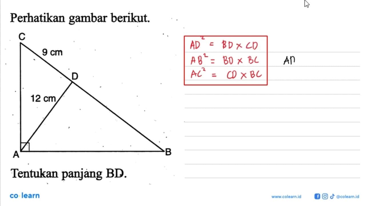 Perhatikan gambar berikut.Tentukan panjang BD.