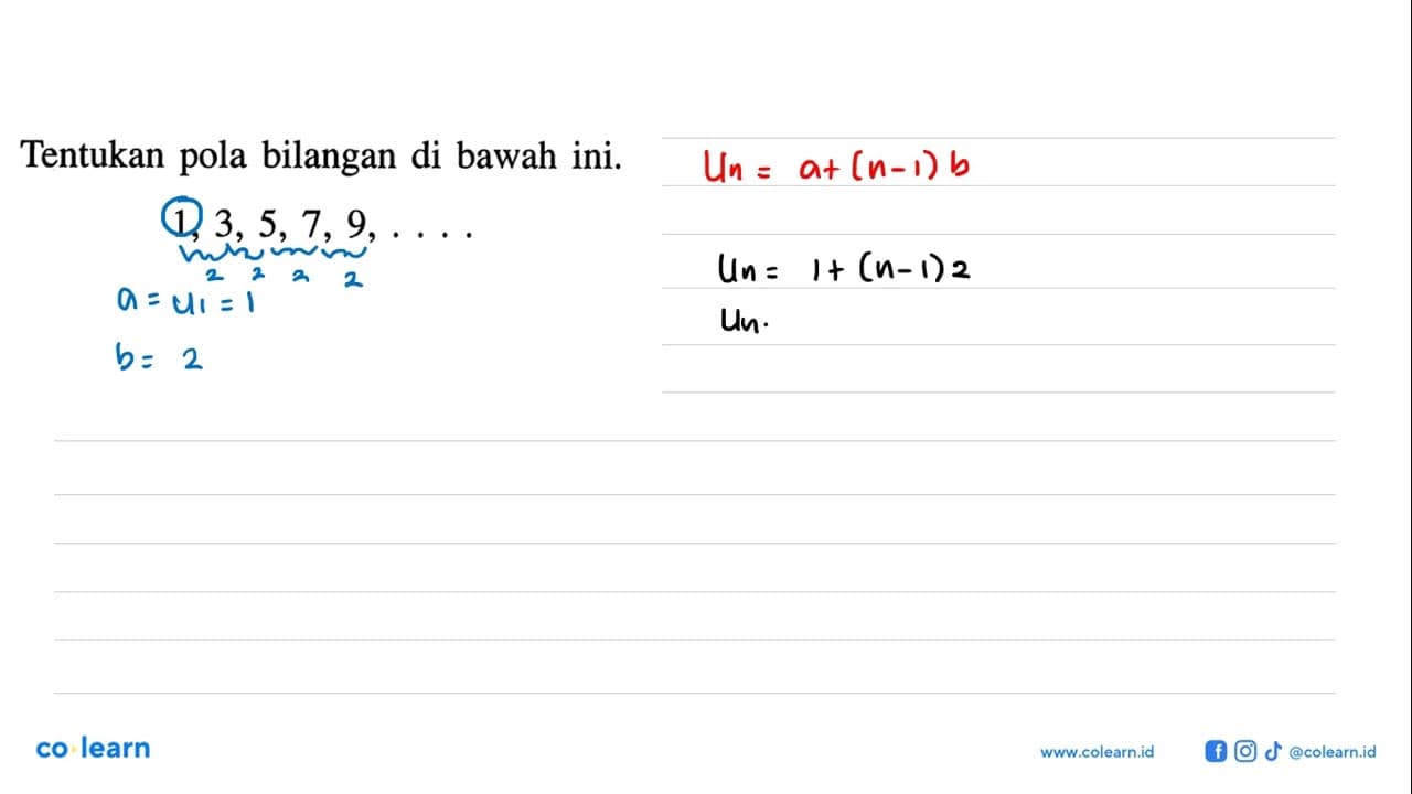 Tentukan pola bilangan di bawah ini. 1, 3, 5, 7, 9, . . . .