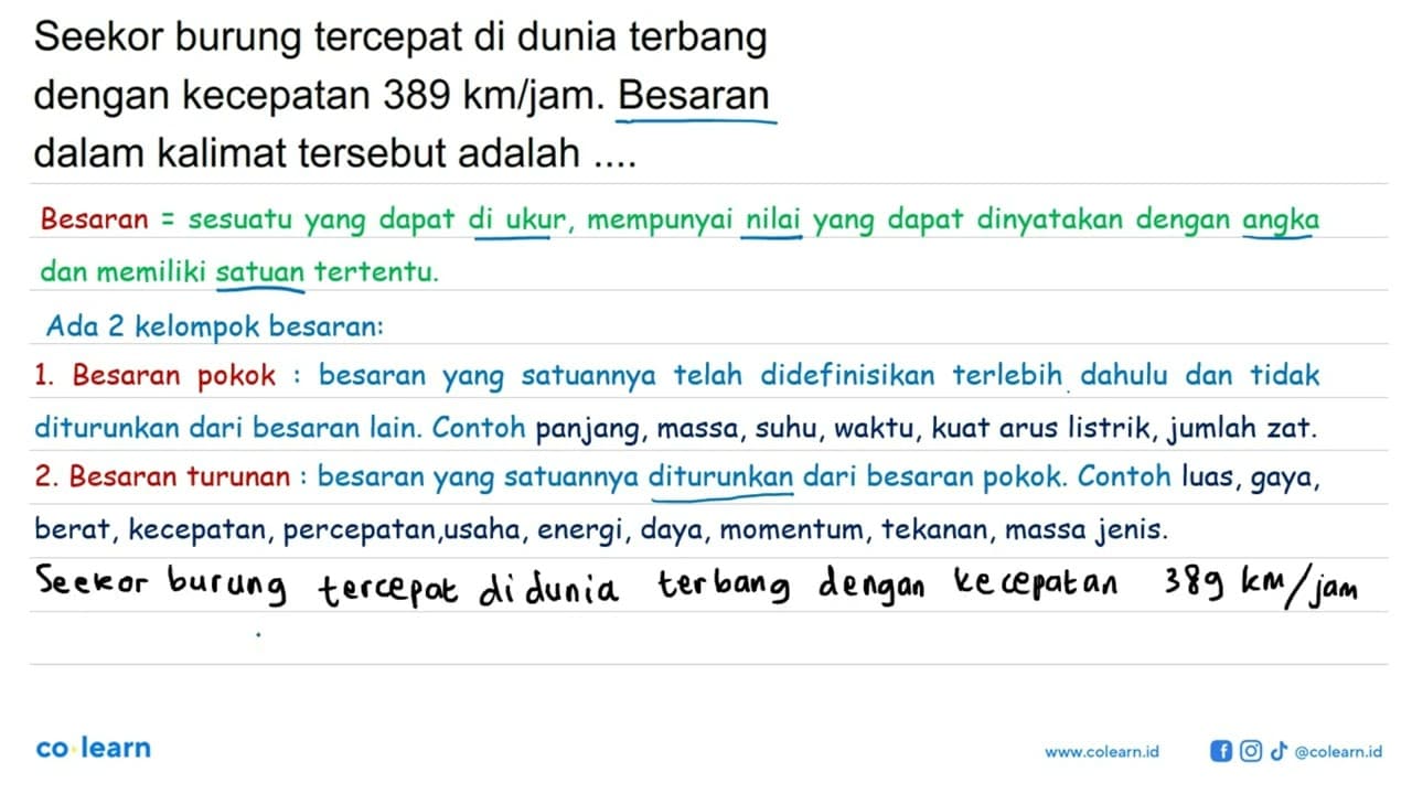 Seekor burung tercepat di dunia terbang dengan kecepatan