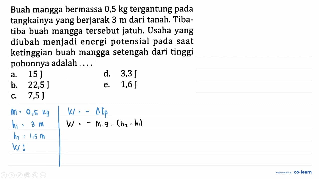 Buah mangga bermassa 0,5 kg tergantung pada tangkainya yang