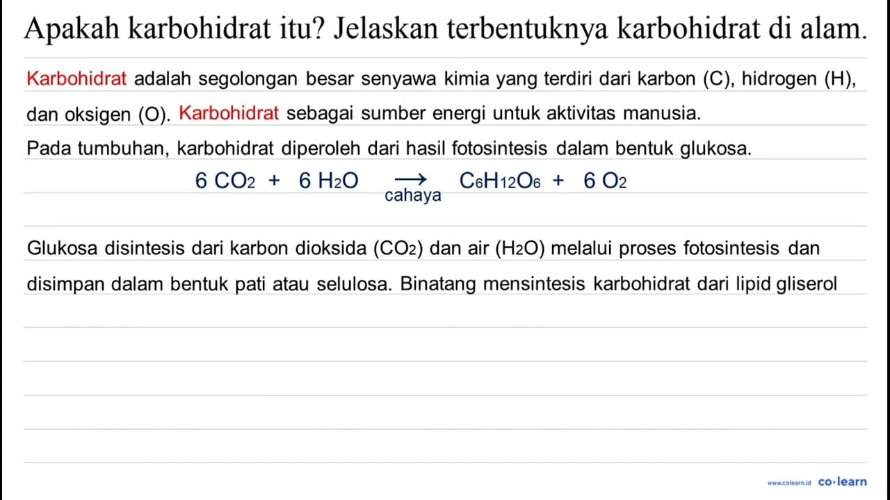 Apakah karbohidrat itu? Jelaskan terbentuknya karbohidrat