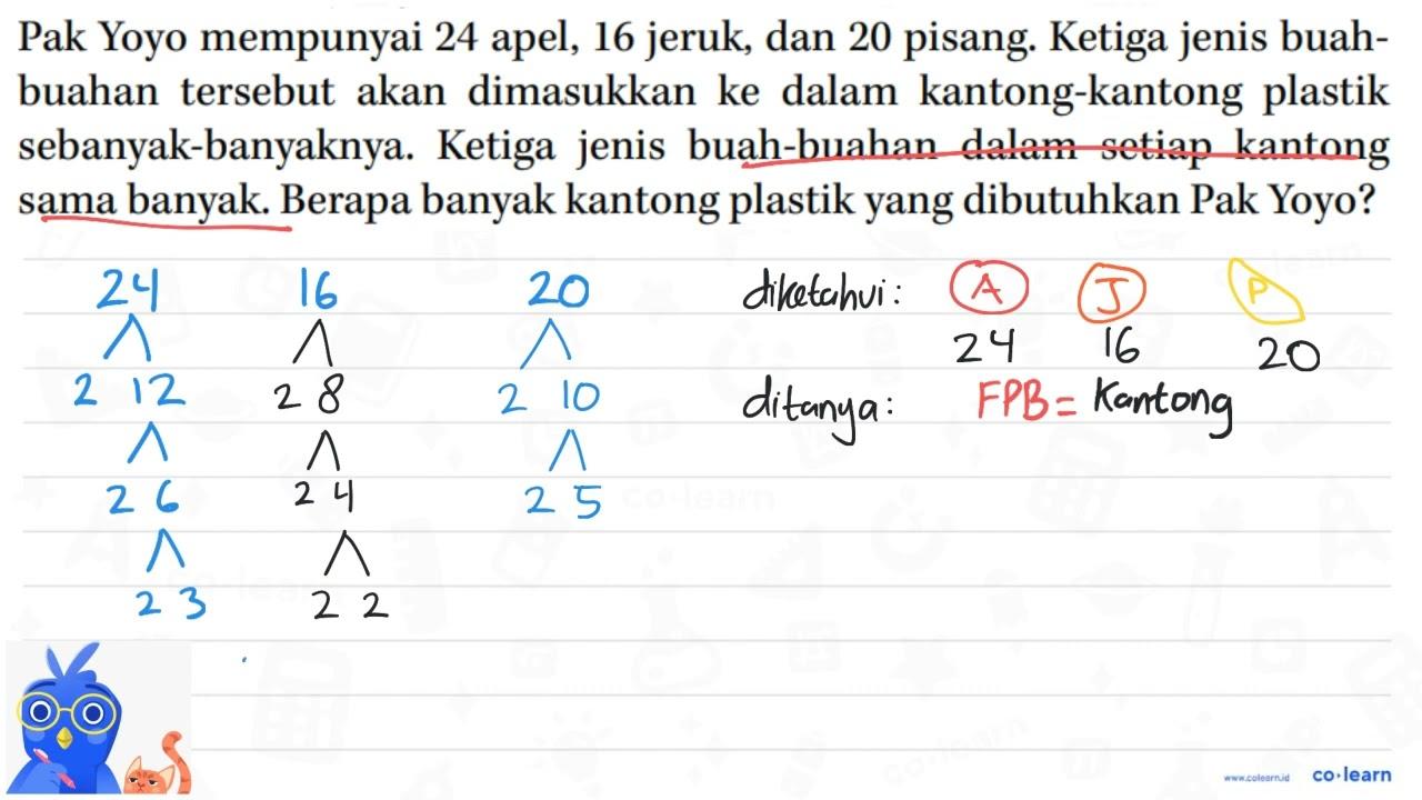 Pak Yoyo mempunyai 24 apel, 16 jeruk, dan 20 pisang. Ketiga