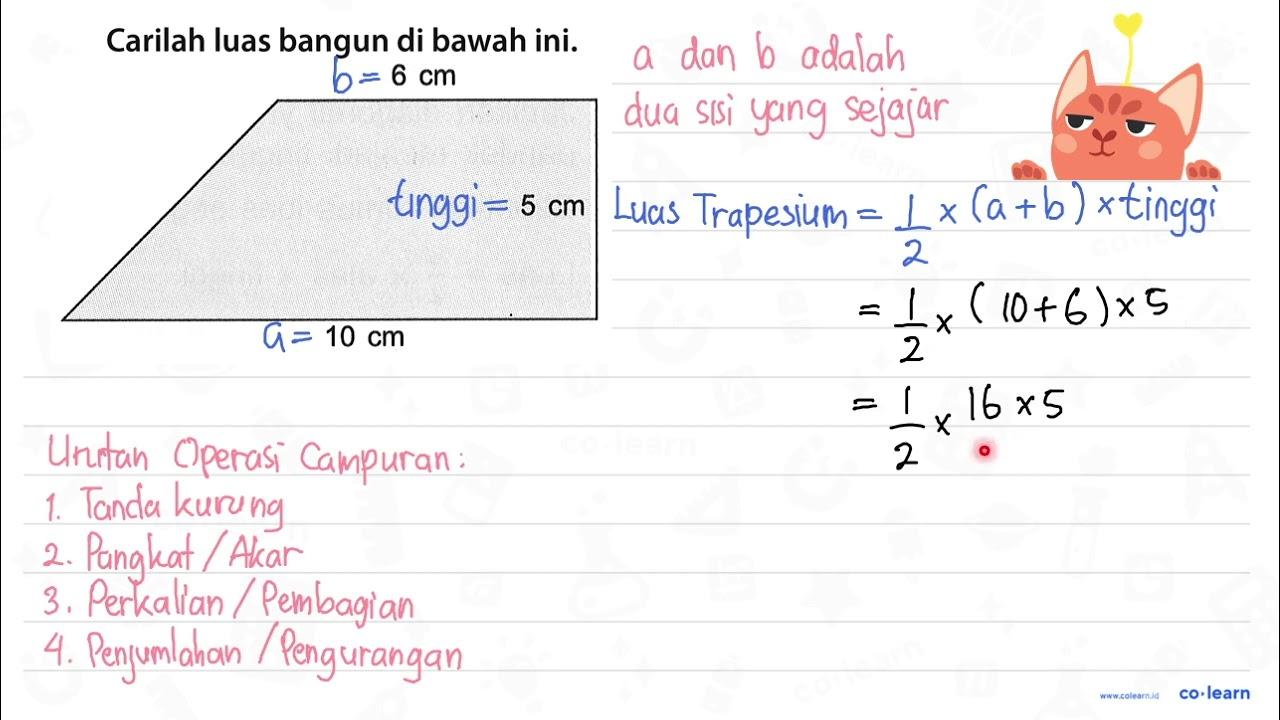 10 cm