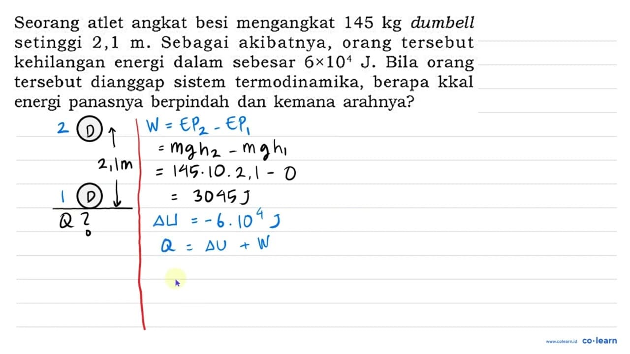 Seorang atlet angkat besi mengangkat 145 kg dumbell