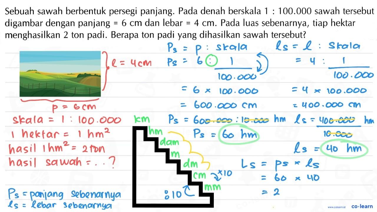 Sebuah sawah berbentuk persegi panjang. Pada denah berskala