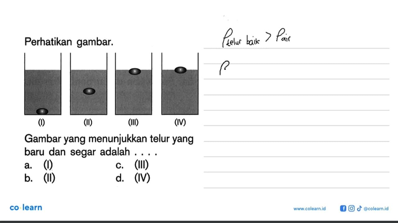 Perhatikan gambar.(I) (II) (III) (IV)Gambar yang