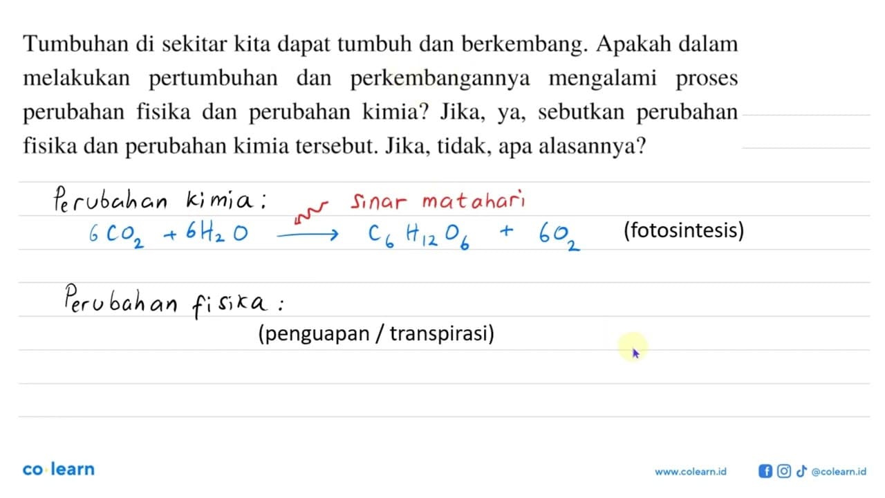 Tumbuhan di sekitar kita dapat tumbuh dan berkembang.