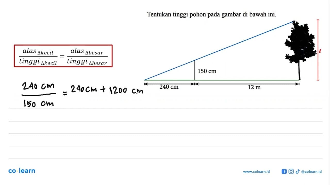 Tentukan tinggi pohon pada gambar di bawahini.