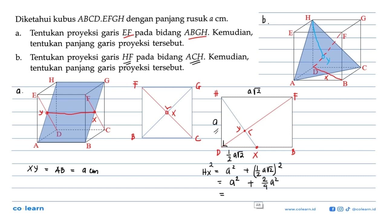 Diketahui kubus ABCD.EFGH dengan panjang rusuk a cm. a.