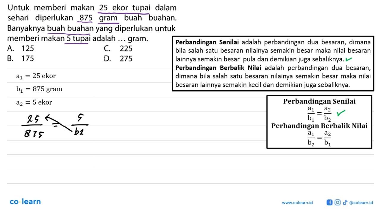 Untuk memberi makan 25 ekor tupai dalam sehari diperlukan