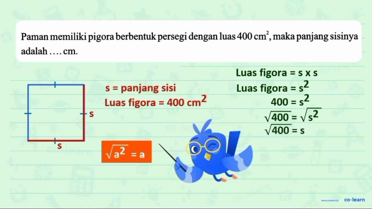 Paman memiliki pigora berbentuk persegi dengan luas 400