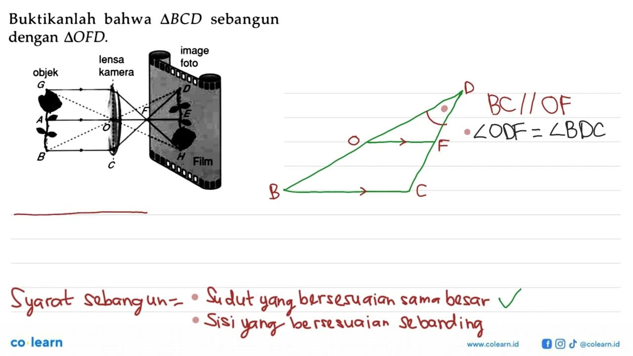 Buktikanlah bahwa segitiga BCD sebangun dengan segitiga