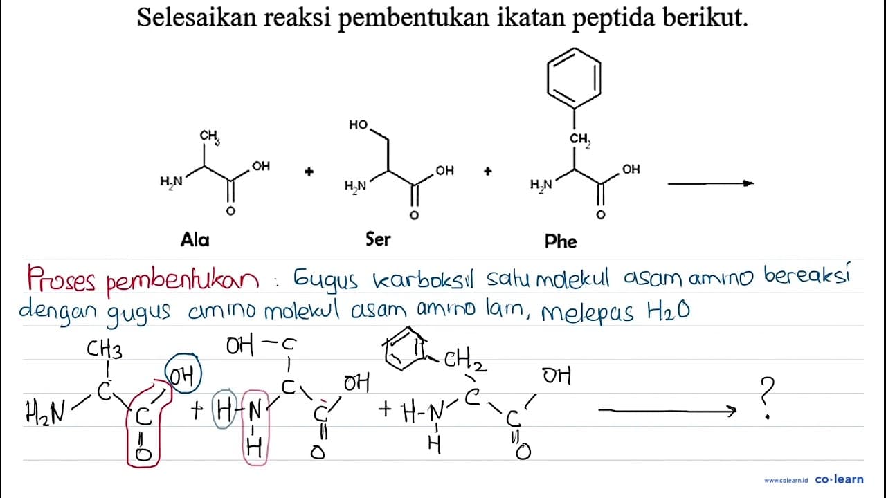 Selesaikan reaksi pembentukan ikatan peptida berikut. NH2