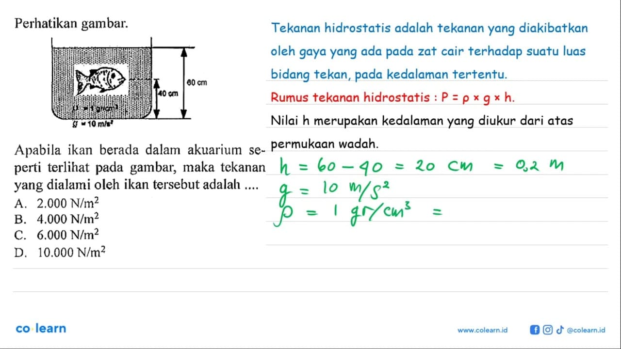 Perhatikan gambar.Apabila ikan berada dalam akuarium