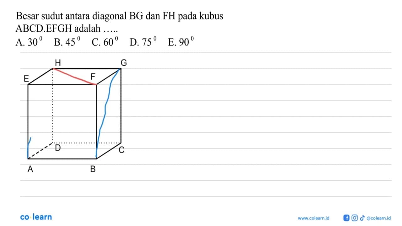 Besar sudut antara diagonal BG dan FH pada kubus ABCD.EFGH