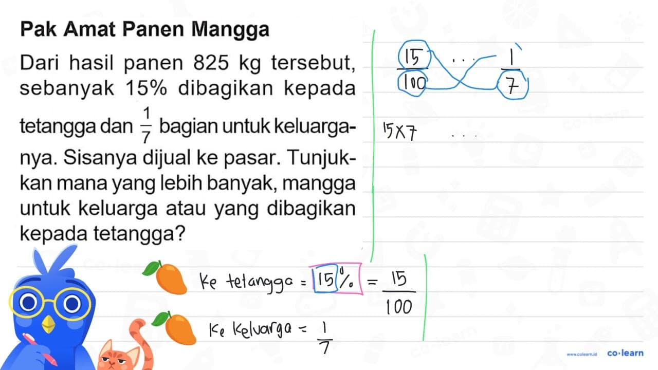 Pak Amat Panen Mangga Dari hasil panen 825 kg tersebut,