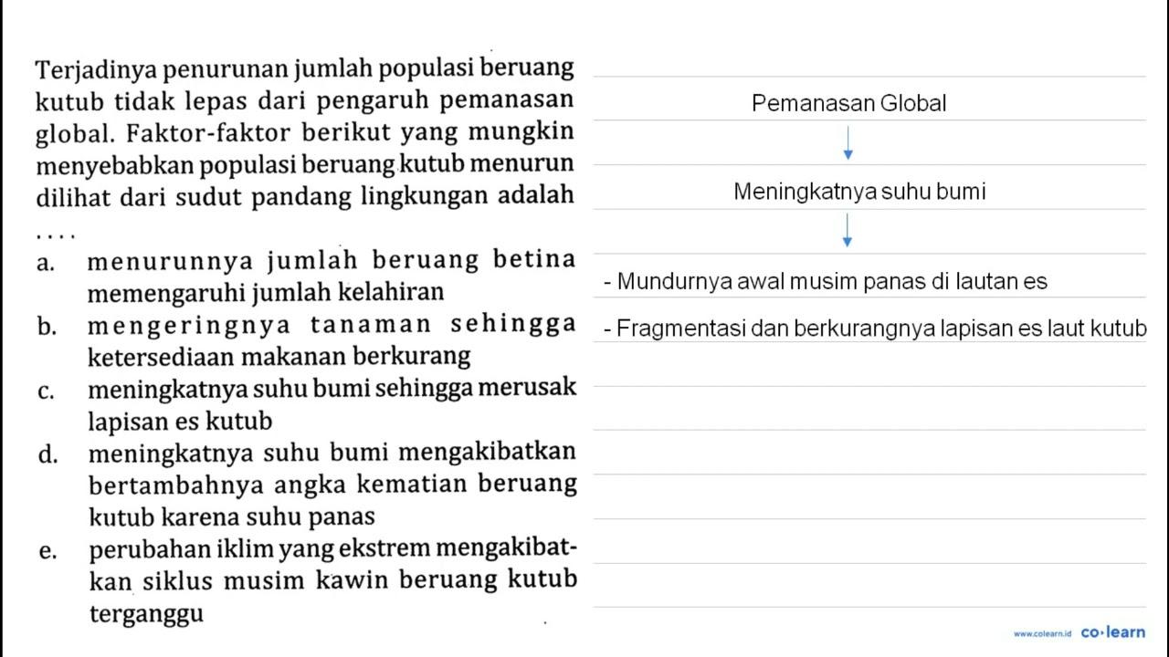 Terjadinya penurunan jumlah populasi beruang kutub tidak