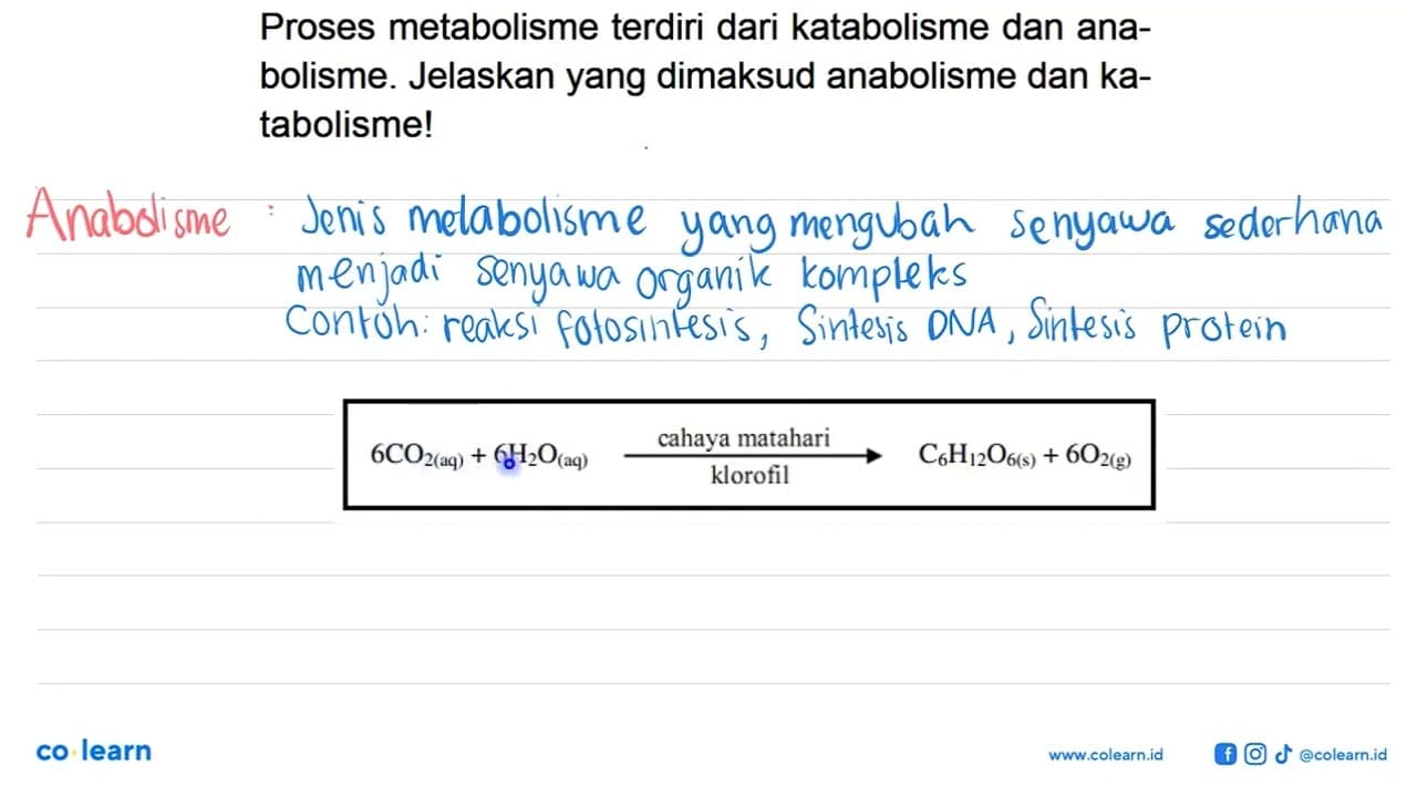 Proses metabolisme terdiri dari katabolisme dan anabolisme.