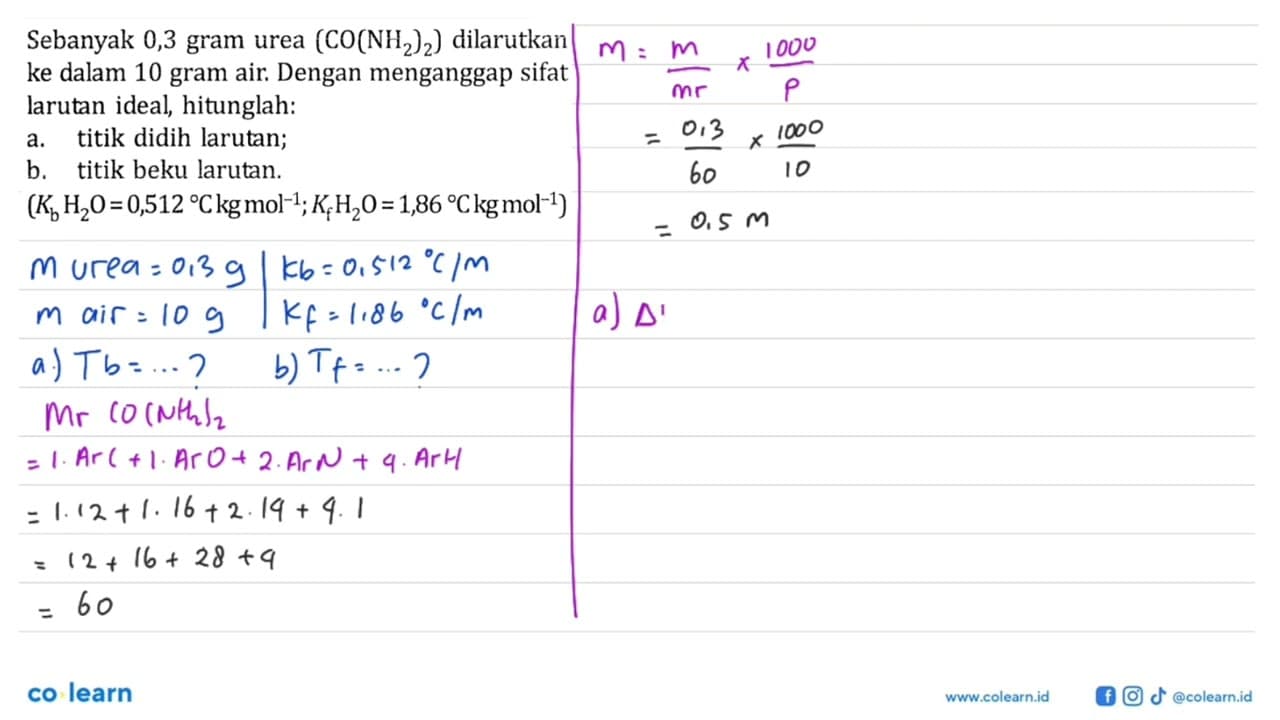Sebanyak 0,3 gram urea (CO(NH2)2) dilarutkan ke dalam 10