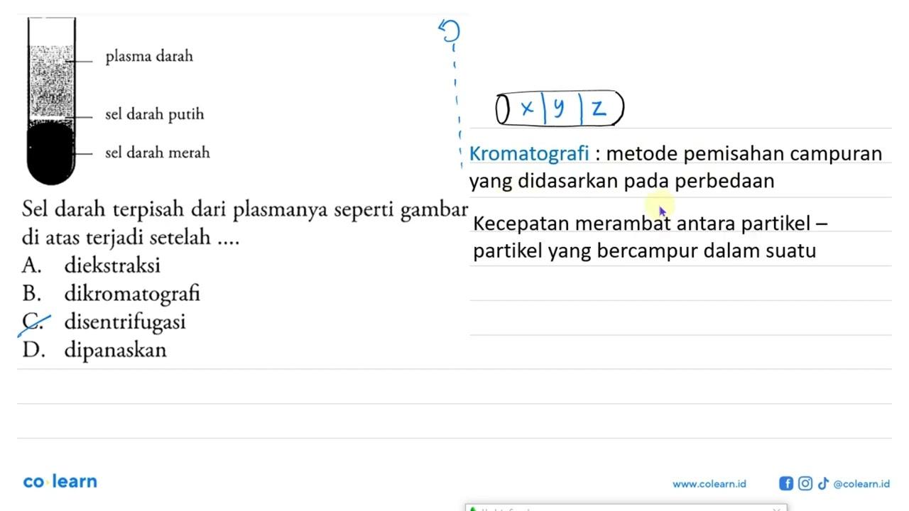 sel darah putih sel darah merah Sel darah terpisah dari