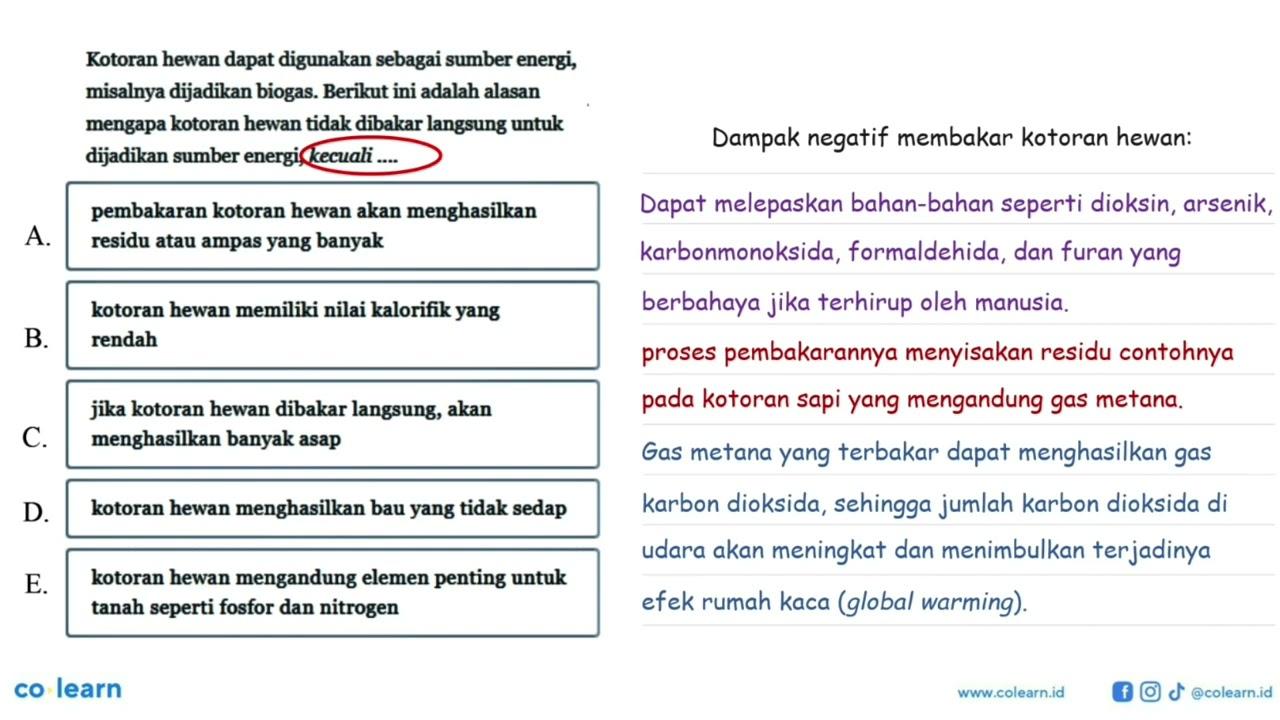 Kotoran hewan dapat digunakan sebagai sumber energi,