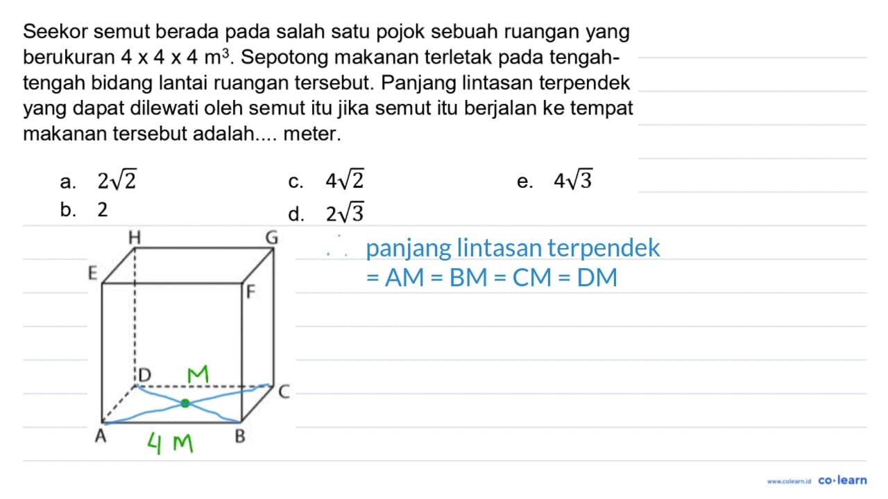 Seekor semut berada pada salah satu pojok sebuah ruangan